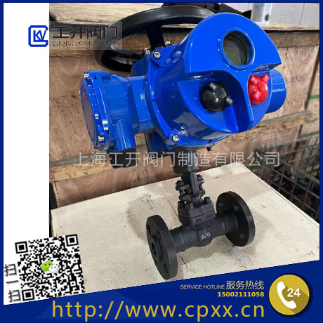 電動鍛鋼閘閥Z941H-600LB-DN25-A105-電動高壓鍛鋼閘閥智能調節型